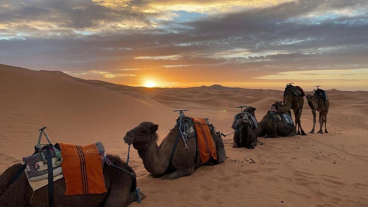 Chegaga Desert Trips Мхамид Экстерьер фото